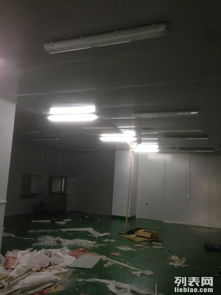 金山石化區食品廠專業凈化工程 彩鋼巖棉板隔斷、車間隔墻與工裝裝修一體化解決方案